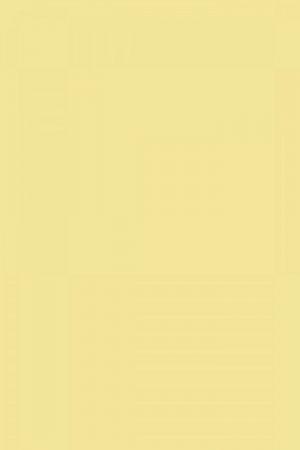 FARROW AND BALL HOUND LEMON NO. 2 PAINT